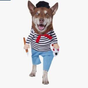 Frisco Front Walking French Artist Dog & Cat Costume, X-Large
